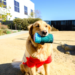 
                  
                    Load image into Gallery viewer, Chief Peak Plush Toy for Dogs
                  
                